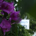 Отель Parus 3*