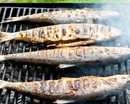 باروس فندق